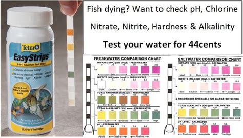 Fish Tank Test Strip Chart