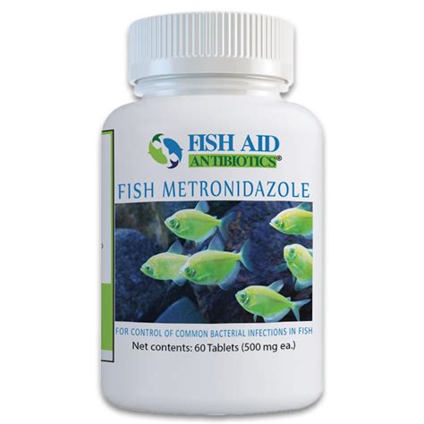 Fish administering Metronidazole