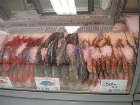 Fish market orlando conclusion