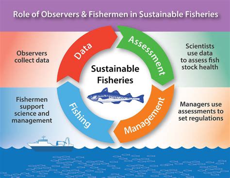 Fisheries Management and Regulations