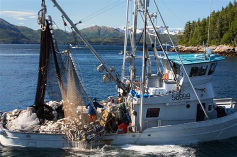 Fishing Industry in Alaska