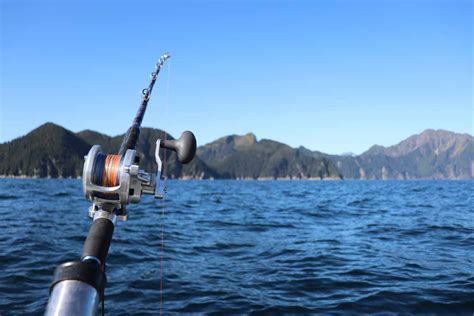 Fishing Regulations in Half Moon Bay