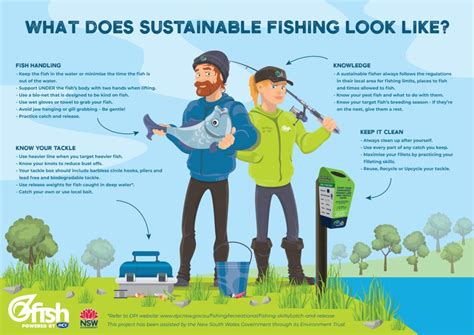 Fishing Sustainably