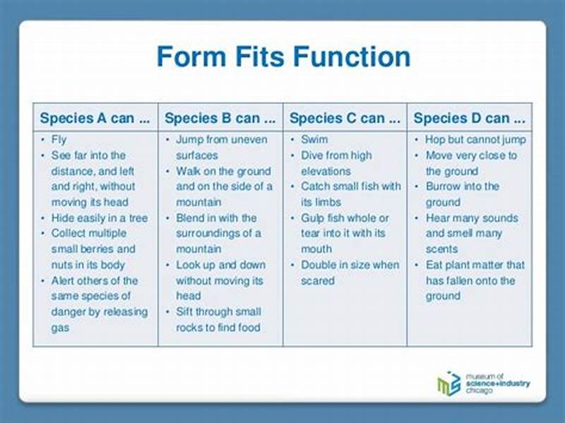Fit Form Function Definition