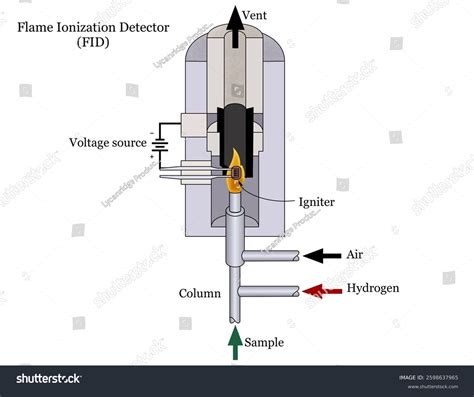Flame Ionization Detector GC FID