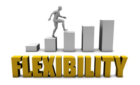 Flexibility in Financial Management