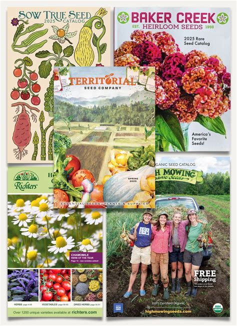 Flower Seed Company Catalogs