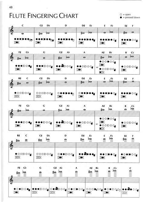 Flute Notes Chart High