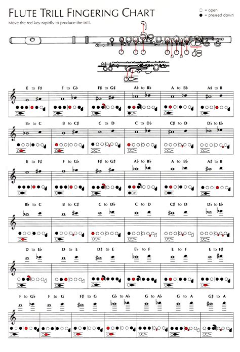 Flute Trill Fingering Chart
