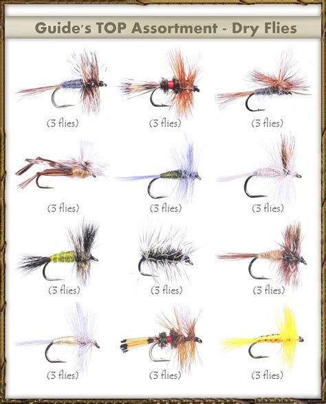 Fly Fishing Fly Chart