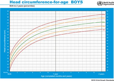 Foetal Head Circumference Chart