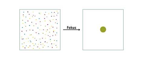 Fokus