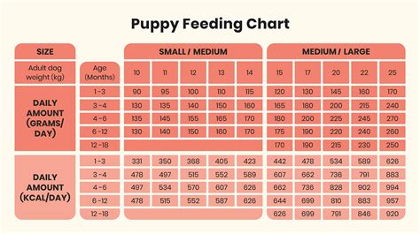 Food Chart For Feeding 11 Week Old Lab Puppy