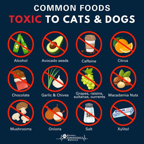 Food Toxic To Cats Chart