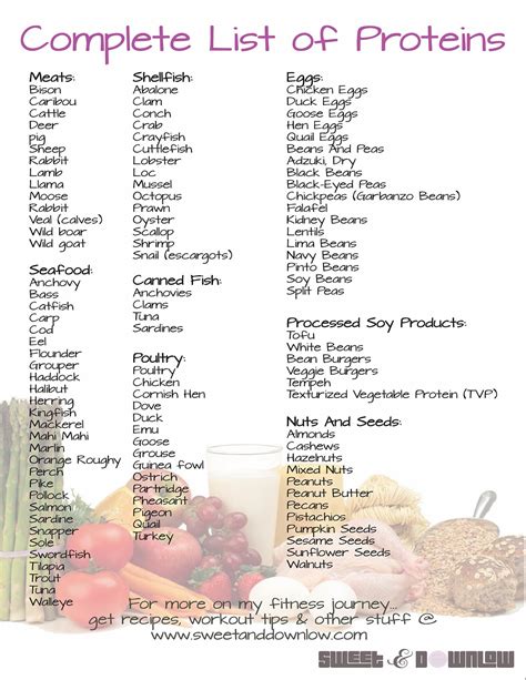 Foods High In Protein Printable List