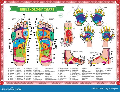 Foot And Hand Reflexology Chart