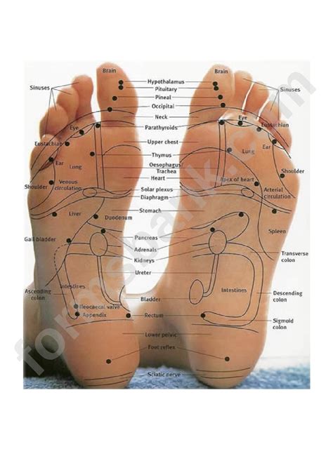 Foot Health Chart