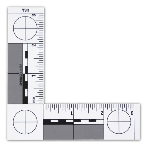 Forensic Ruler Printable