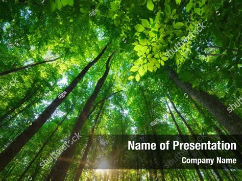 Forest Powerpoint Template