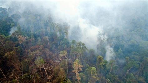 Forest fire in Indonesia