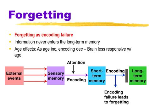 Forgetting in Memory Retrieval