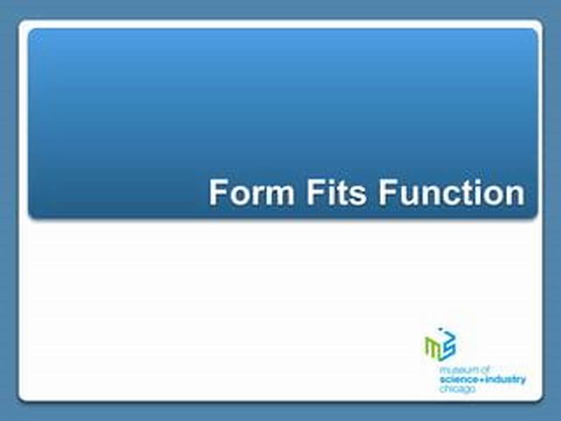Form Fits Function