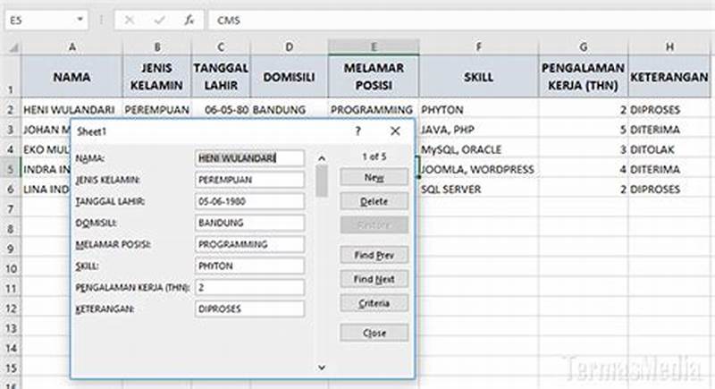 Form Input Excel