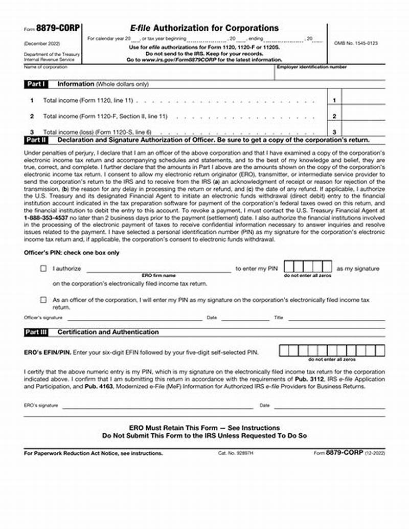 Form To File For S Corp Status