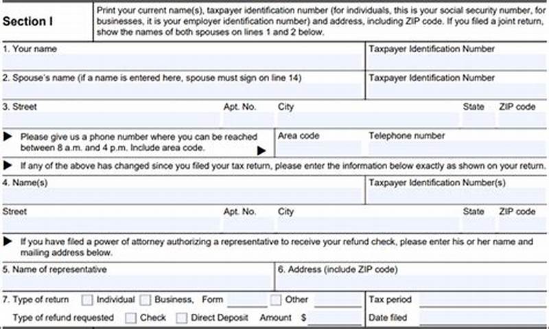 Form To Fill Out For Stimulus Check