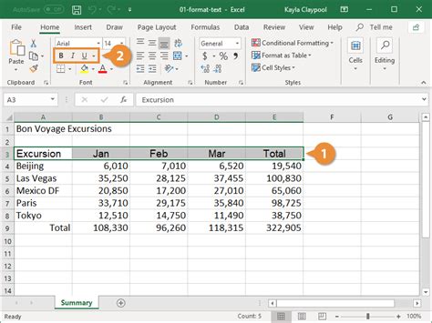 format text excel
