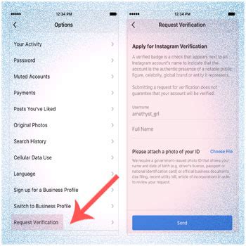 Formulir Verifikasi Instagram