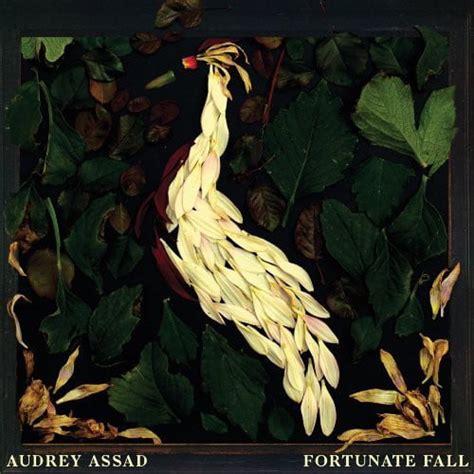 Portada de Fortunate Fall