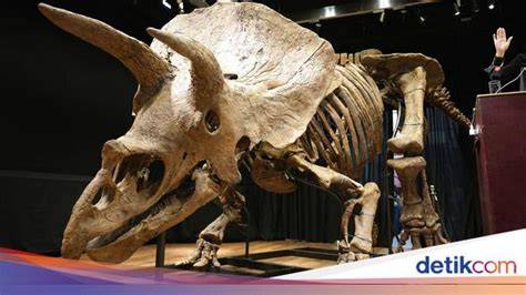 Fosil dinosaurus
