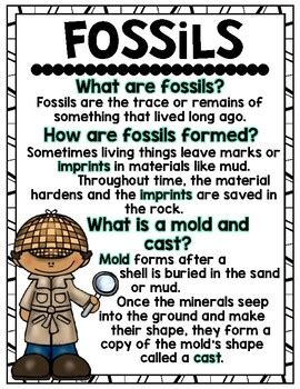 Fossils Anchor Chart
