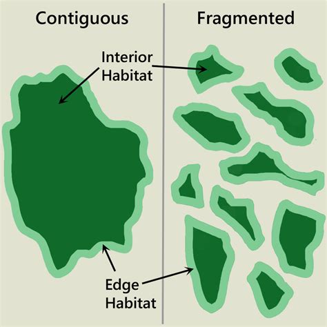 Fragmentasi habitat