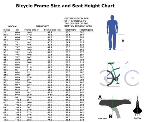 Frame Size Height Chart
