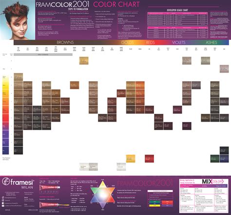 Framesi Color Chart 2001
