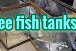 Free Fish Tanks Near Me