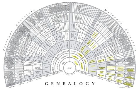 Free Printable 9 Generation Family Tree Fan Charts