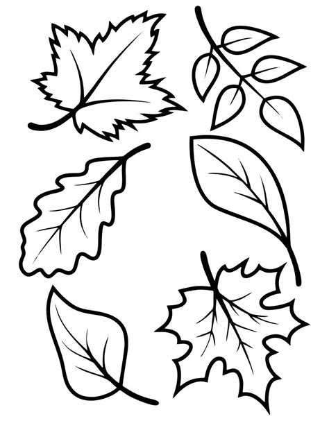 Free Printable Autumn Leaves Template