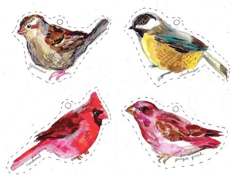 Free Printable Bird Pictures