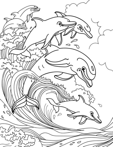 Free Printable Coloring Pages Dolphins