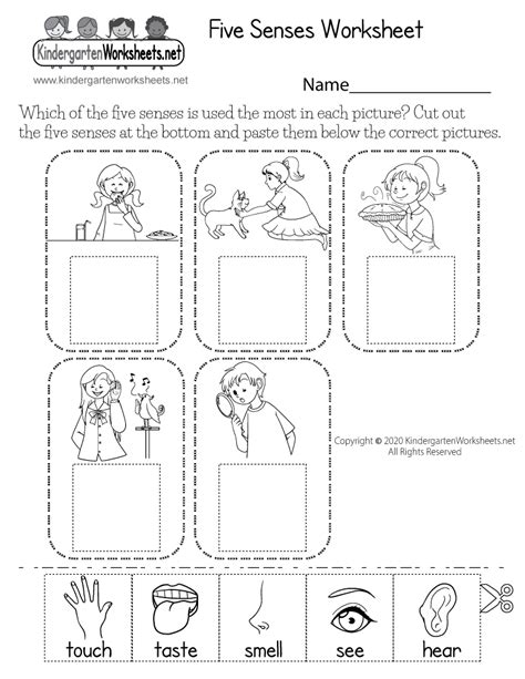 Free Printable Five Senses Worksheets