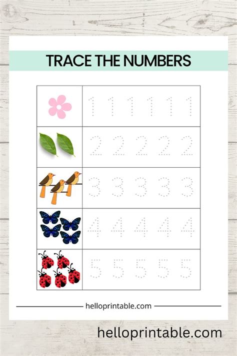 Free Printable Learning Worksheets For 4 Year Olds