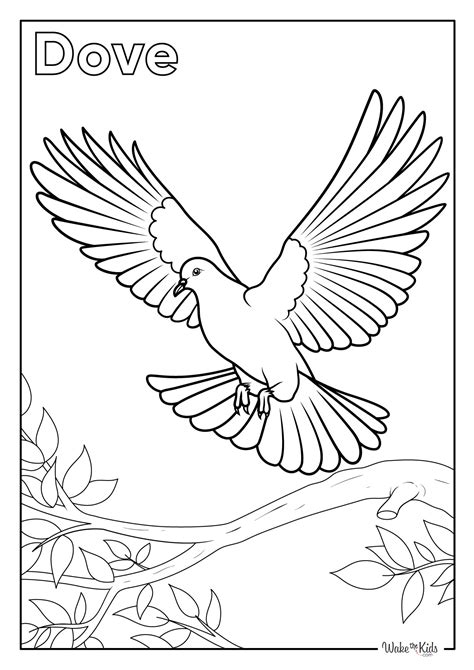Free Printable Picture Of A Dove