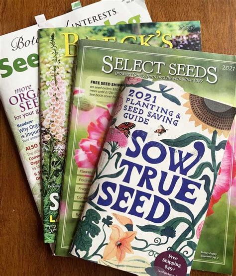 Free Seed Catalogue