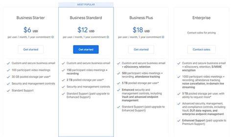 Free vs Paid Google Meet