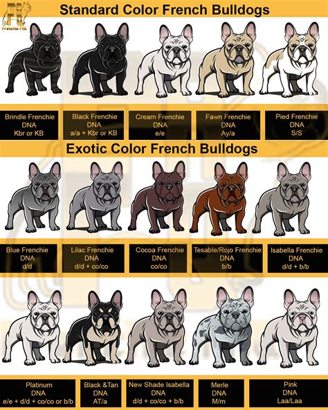 French Bulldog Eye Color Chart