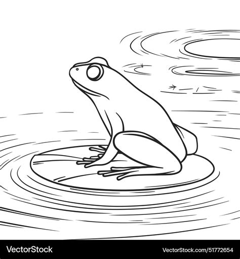 Frog On A Lily Pad Drawing