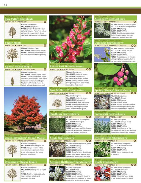 Fruit Tree Catalog Request